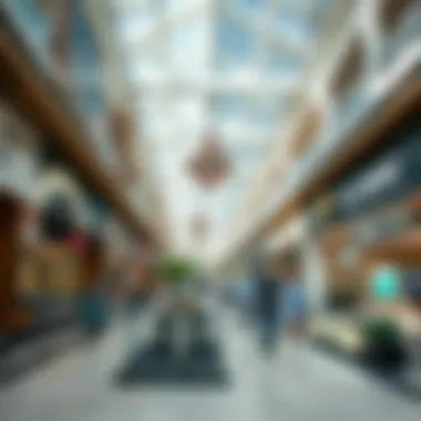 Diverse Offerings in Dubai's Shopping Experience Diverse shopping experiences in a Dubai mall