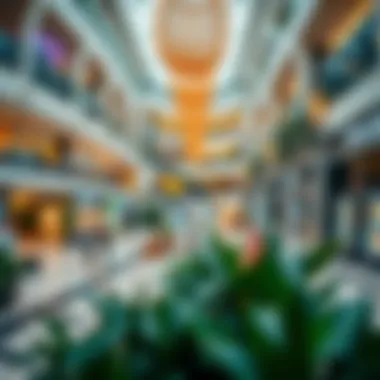 Leisure and Retail Harmony in Dubai Vibrant leisure area within a Dubai shopping mall