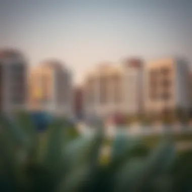 Architectural Diversity in Bsbass Al-Khalidiya Modern residential buildings reflecting the architectural diversity of Bsbass Al-Khalidiya