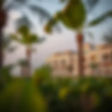 Trends in property prices within Discovery Garden
