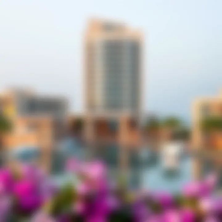 Exploring the Pointe Palm: A Comprehensive Overview Summary